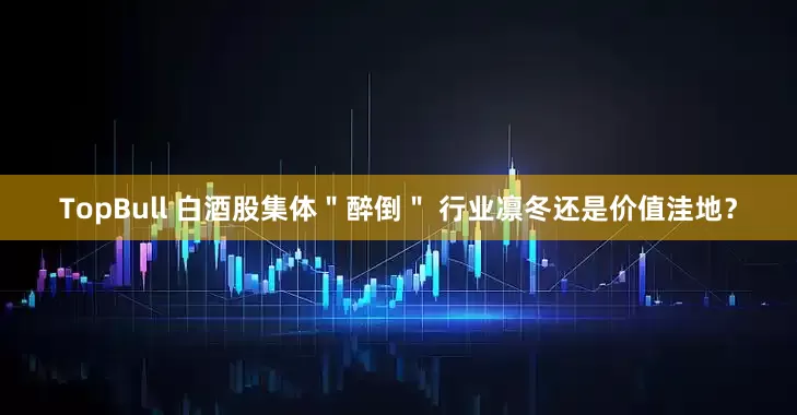 TopBull 白酒股集体＂醉倒＂ 行业凛冬还是价值洼地？