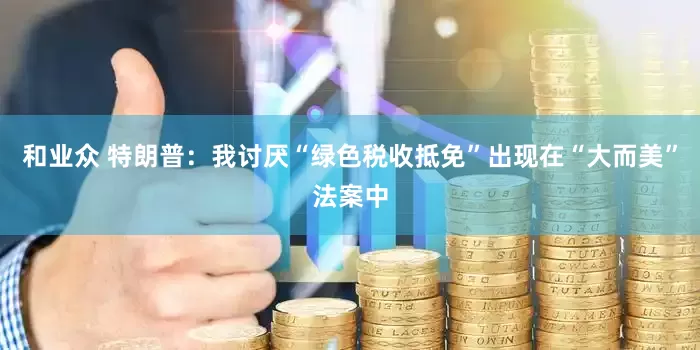 和业众 特朗普：我讨厌“绿色税收抵免”出现在“大而美”法案中
