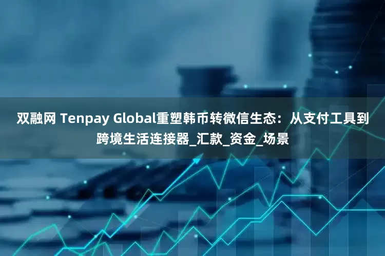 双融网 Tenpay Global重塑韩币转微信生态：从支付工具到跨境生活连接器_汇款_资金_场景