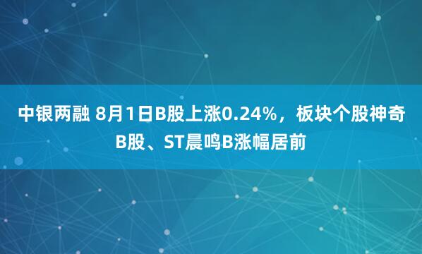 中银两融 8月1日B股上涨0.24%，板块个股神奇B股、ST晨鸣B涨幅居前